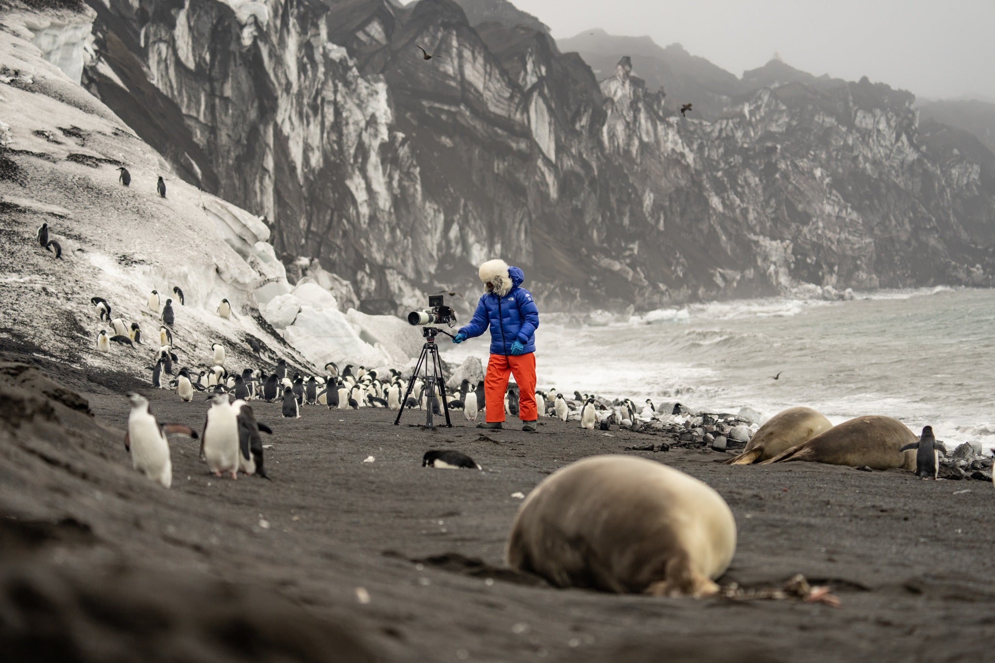 Manfrotto Tripods, Heads & Accessories