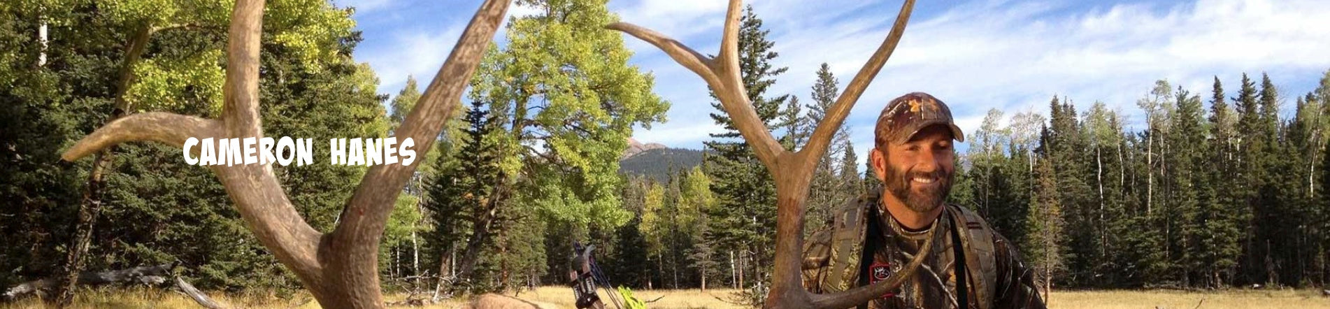 AAE CAMERON HANES Signature Hybrid 26 "Must Be Nice" Vanes (40 pk)