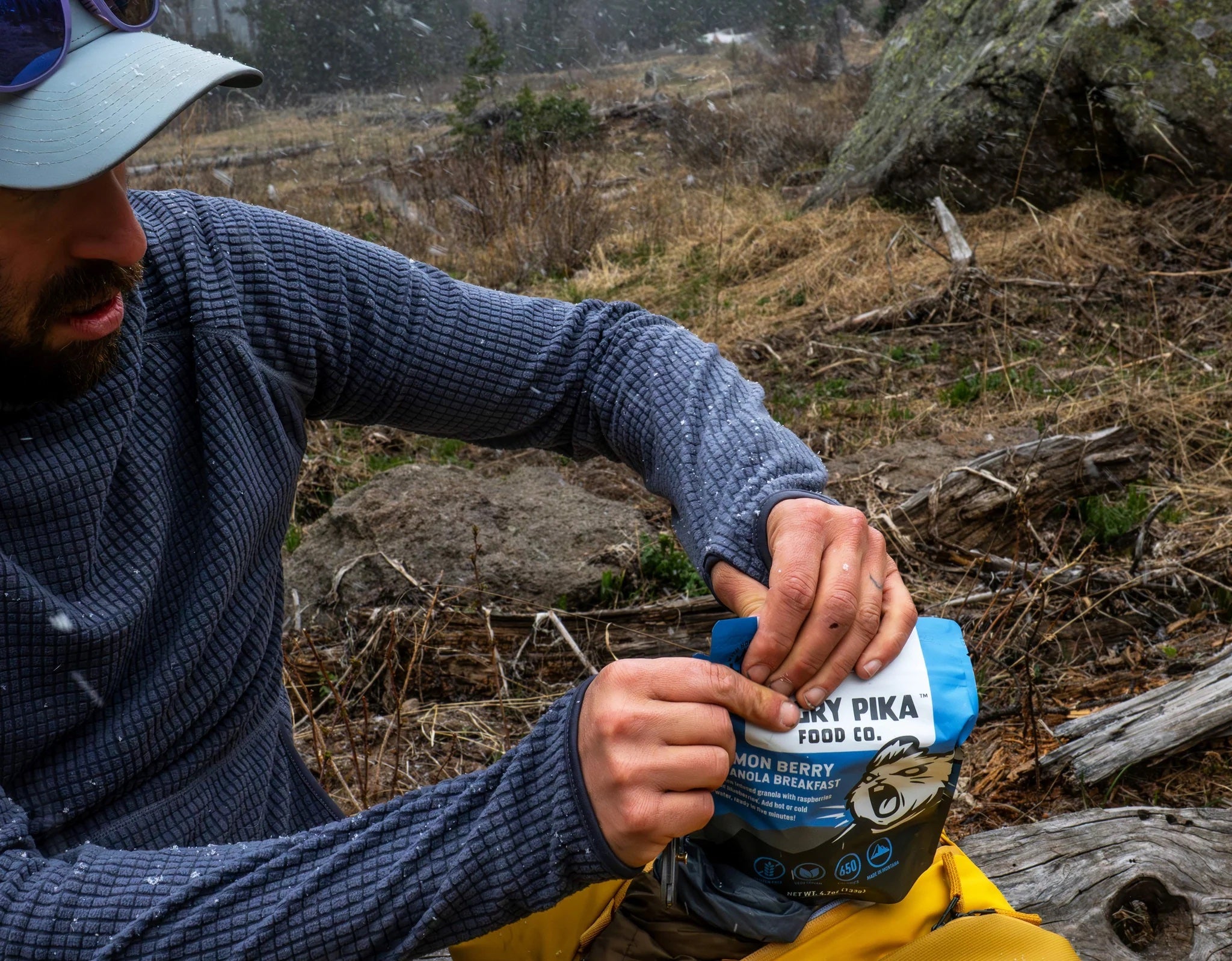 Angry Pika Lemon Berry Granola Breakfast