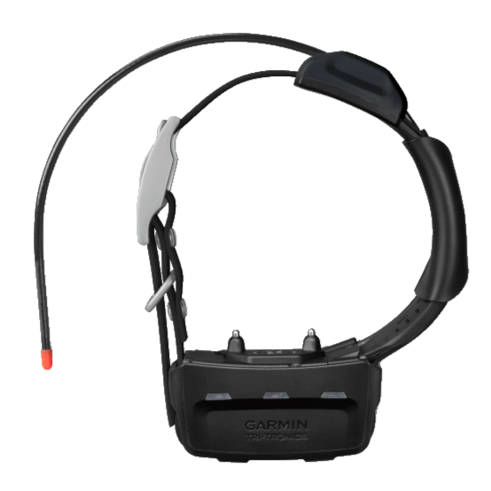 Garmin TT15 Dog Device