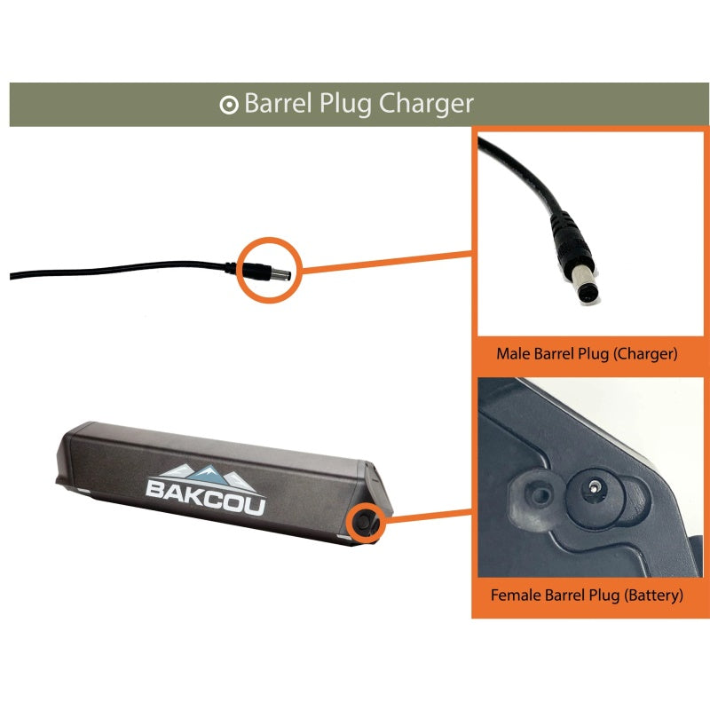 Bakcou 21ah eBike Battery